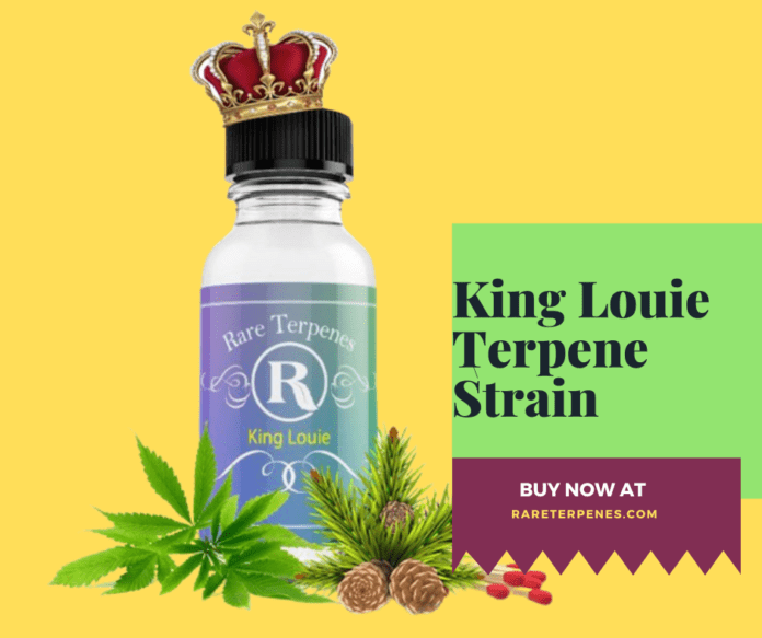 King Louie Terpene Strain
