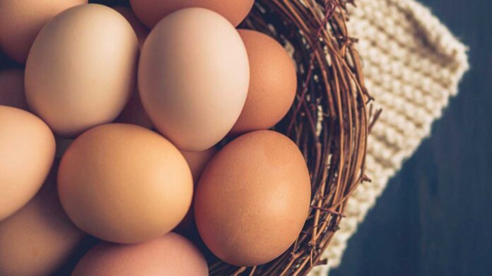 Are You Aware of The Advantages of Eggs for Men's Health?